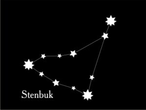 Stenbuk