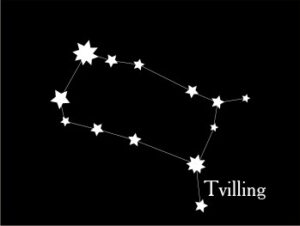 Tvilling